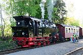 2015-06-04_060 Stiege An der Harzer Schmalspurbahn im Sommer.