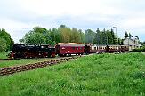 2015-06-06_016 Stiege An der Harzer Schmalspurbahn im Sommer.