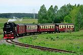 2015-06-06_027 Stiege An der Harzer Schmalspurbahn im Sommer.