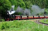 2015-06-06_117 Drei Annen Hohne An der Harzer Schmalspurbahn im Sommer.