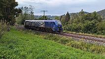 2024-08-01-031 Immenstadt Bühl Urlaub im Allgäu. 2 mal in der Woche fährt ein Containerzug mit 2019 von München nach Wolfurt bei Bregenz über Immenstadt. Hier rollt die Lok Lz zurück Richtung...