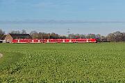2024-11-30-006 Krefeld Forstwald 1440 228