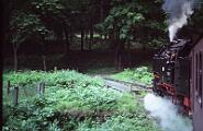 1990-x005370 Wernigerode 99 7239