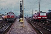 1991-x005669 Erfurt 132 101, 243 950