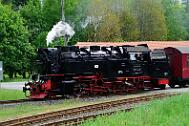 2015-06-06_015 Oberharz Stiege 99 7243