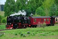 2015-06-06_024 Oberharz Stiege 99 7243