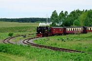 2015-06-06_025 Oberharz Stiege 99 7243
