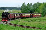 2015-06-06_027 Oberharz Stiege 99 7243