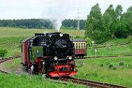 2015-06-06_029 Oberharz Stiege 99 7243