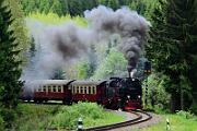 2015-06-06_087 Oberharz Sorge 99 7240