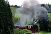 2015-06-06_090 Oberharz Sorge 99 7240