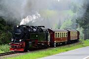 2015-06-06_094 Oberharz Sorge 99 7240