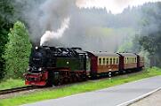 2015-06-06_095 Oberharz Sorge 99 7240