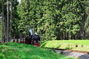 2015-06-06_096 Oberharz Sorge 99 7240
