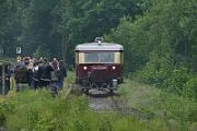 2016-06-12-004 Balve Binolen Schweineschnäuchen beim Schienenbus-Treffen