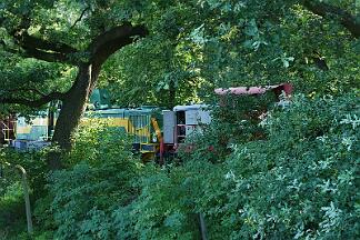 2019-07-23-010 Dortmund Hafen DE 24 und DE 804 sind frontal zusammen gestoßen.