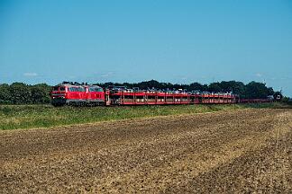 2025-08-18-128 Niebüll Südergotteskogweg 218 366 (vorne) und 218 832 mit Autozug nach Westerland.