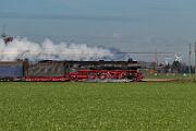 01 1075 - 2024-11-30-019 Krefeld Forstwald