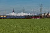 01 1075 - 2024-11-30-021 Krefeld Forstwald