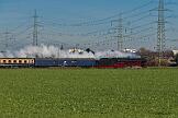 01 1075 - 2024-11-30-022 Krefeld Forstwald