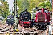 18 478 - 2024-04-21-059 Bochum Dahlhausen