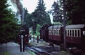 99 7234 - 1990-x005477 Wernigerode Drei Annen Hohne