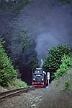 99 7237 - 1990-x005426 Harztor Birkenmoor