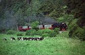99 7237 - 1990-x005435 Harzgerode Straßberg