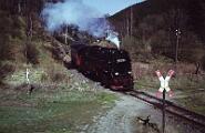 99 7238 - 1990-x005066 Güntersberge