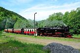 99 7240 - 2015-06-06_070 Harztor Eisfelder Talmühle