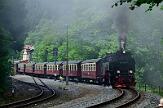 99 7240 - 2015-06-06_077 Harztor Eisfelder Talmühle