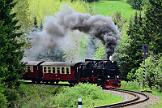 99 7240 - 2015-06-06_086 Oberharz Sorge