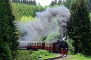 99 7240 - 2015-06-06_088 Oberharz Sorge
