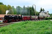 99 7243 - 2015-06-06_014 Oberharz Stiege