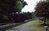 99 7245 - 1990-x005399 Wernigerode Drei Annen Hohne