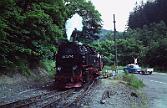 99 7247 - 1990-x005454 Harzgerode Mägdesprung