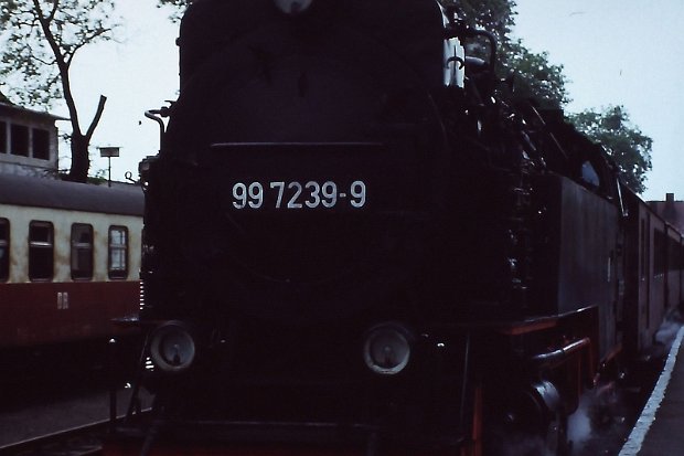 99 7239