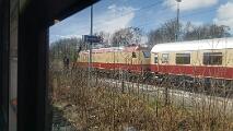 101 001 - 2024-03-23-016 Papenburg