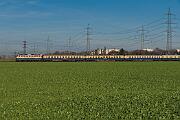 110 383 - 2024-11-30-025 Krefeld Forstwald