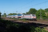 146 557 - 2023-06-03-031 Dortmund Lütgendortmund