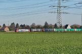 193 471 - 2024-11-30-001 Krefeld Forstwald