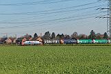 193 471 - 2024-11-30-002 Krefeld Forstwald