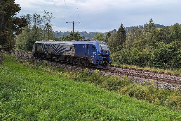 2019 310