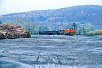 D67 - 1986-30-037 Arnsberg Altes Feld