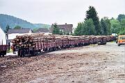 118 585 - 2000-011948 Sundern