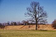212 100 - 1990-79-058 Rott am Inn