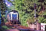 212 299 - 1989-71-074 Iserlohn Buchenwäldchen