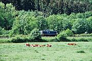 212 301 - 1990-x005238 Marsberg