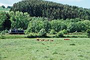 212 301 - 1990-x005239 Marsberg