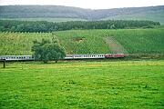 215 048 - 1988-65-079 Wittlich Platten